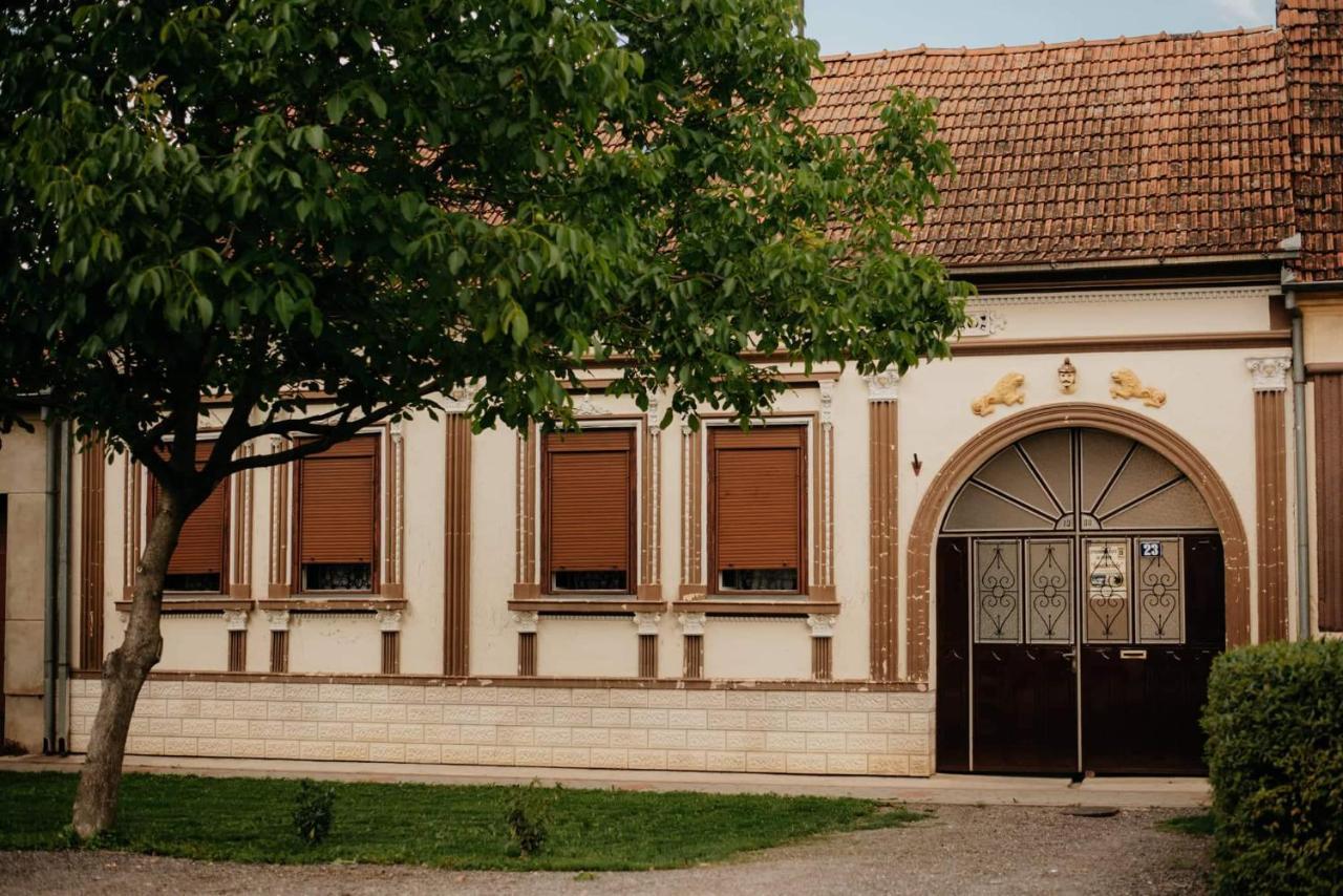 Kuca Za Odmor "Sokacka Lady" Villa Zupanja Exteriör bild