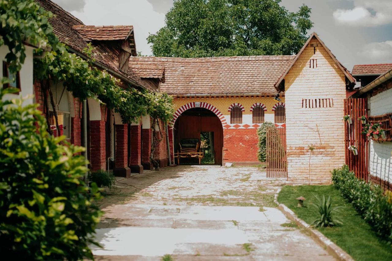 Kuca Za Odmor "Sokacka Lady" Villa Zupanja Exteriör bild